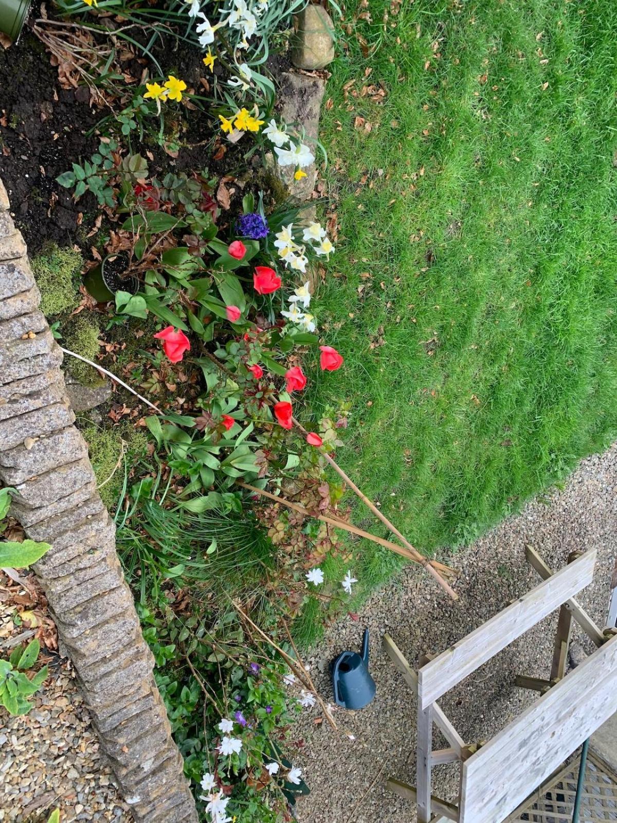 Vakantiehuis Rose Wigton
